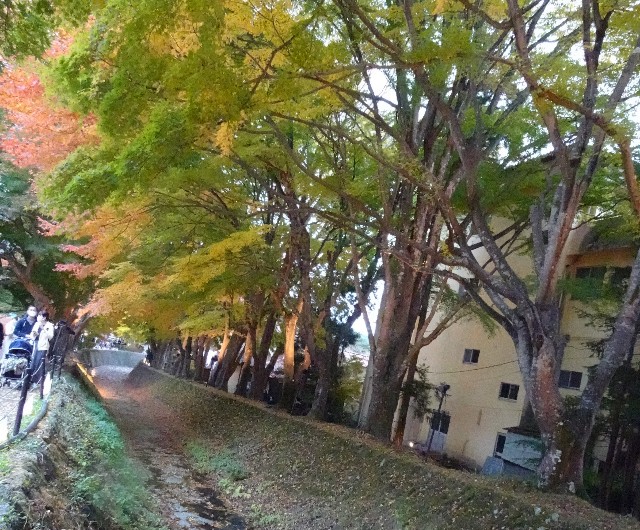 f:id:makoako:20211110123413j:plain