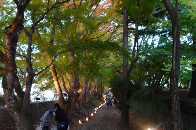 f:id:makoako:20211110124341j:plain