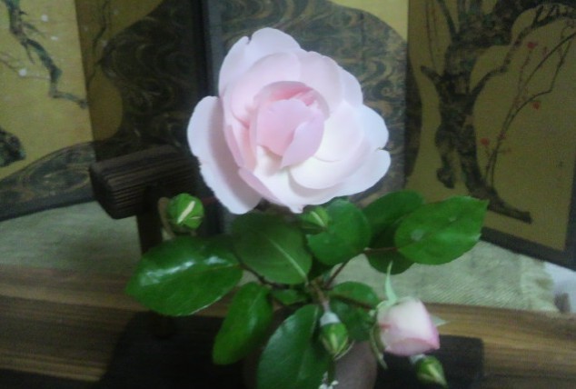 f:id:makoako:20211114004508j:plain