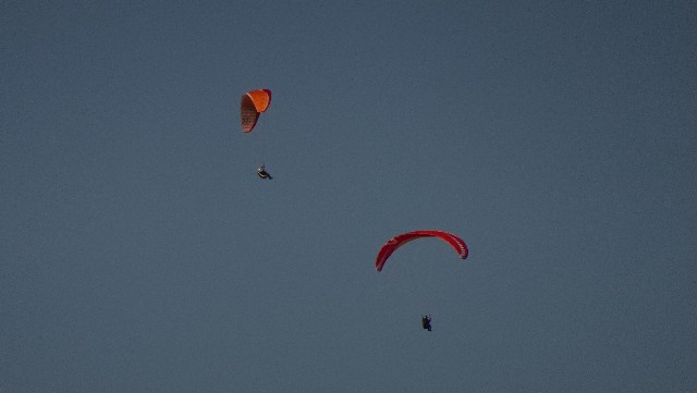 f:id:makoako:20211114101200j:plain