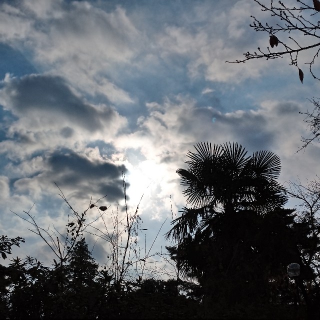 f:id:makoako:20211118065731j:plain