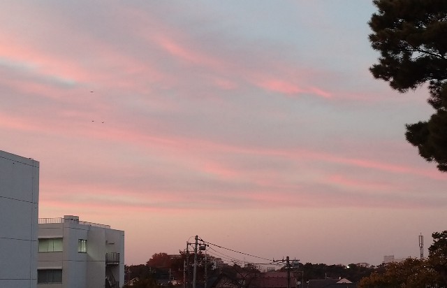 f:id:makoako:20211119181345j:plain