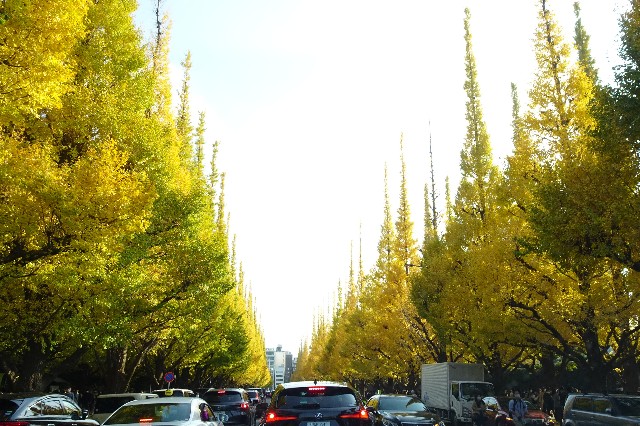 f:id:makoako:20211121011126j:plain