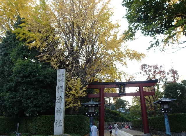 f:id:makoako:20211121011508j:plain