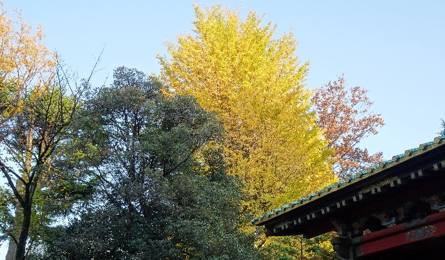 f:id:makoako:20211121011610j:plain
