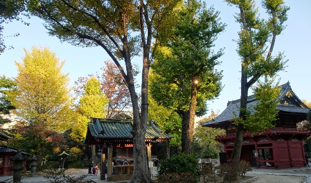 f:id:makoako:20211121011621j:plain
