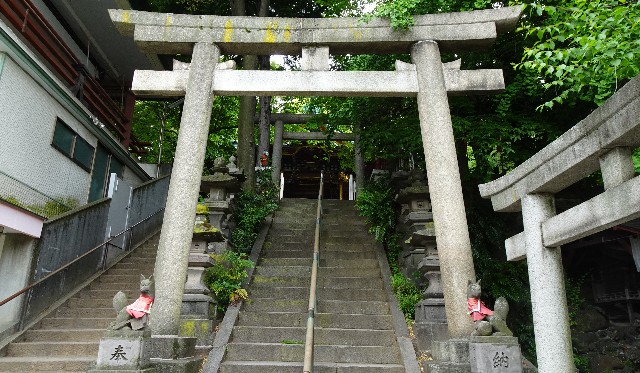 f:id:makoako:20211124174930j:plain