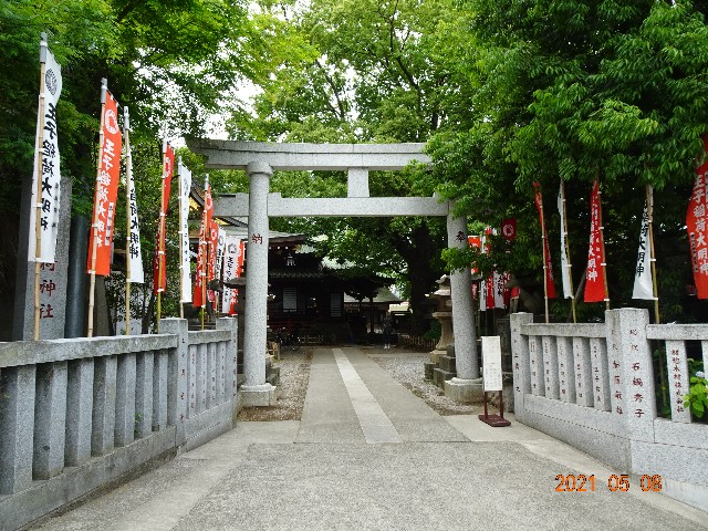 f:id:makoako:20211124175417j:plain