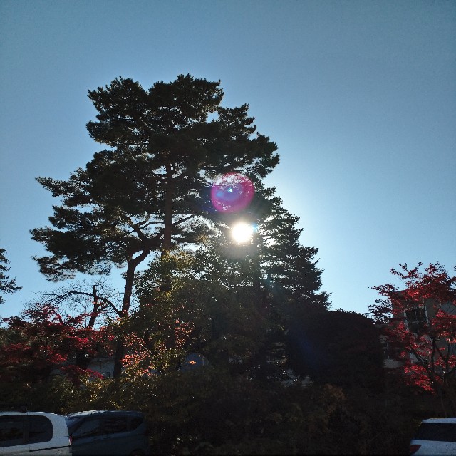 f:id:makoako:20211126182022j:plain