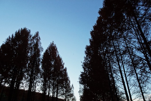 f:id:makoako:20211128235404j:plain