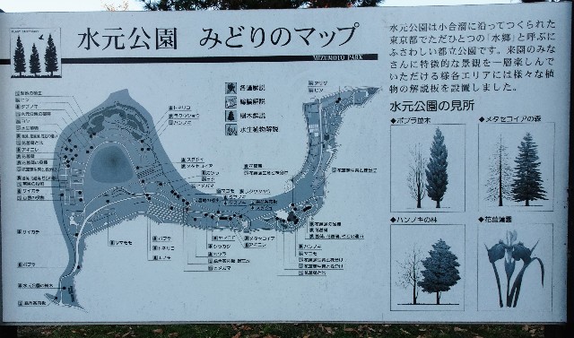f:id:makoako:20211205085701j:plain