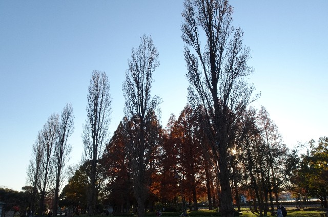 f:id:makoako:20211205085745j:plain