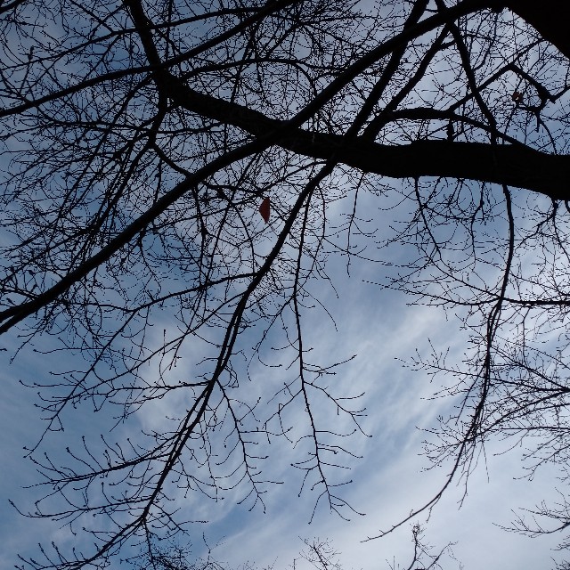 f:id:makoako:20211211003307j:plain