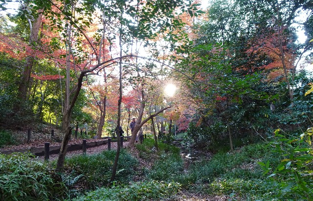 f:id:makoako:20211212012154j:plain