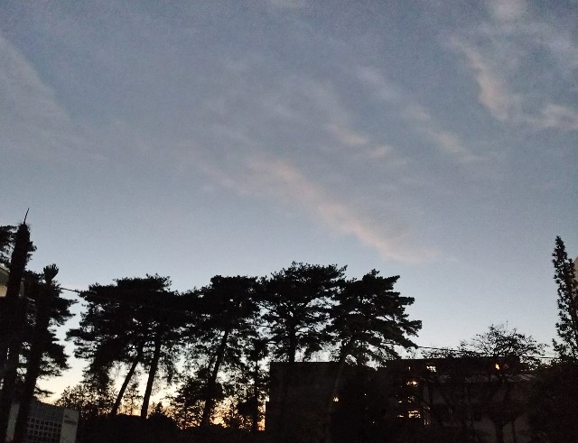 f:id:makoako:20211221001412j:plain