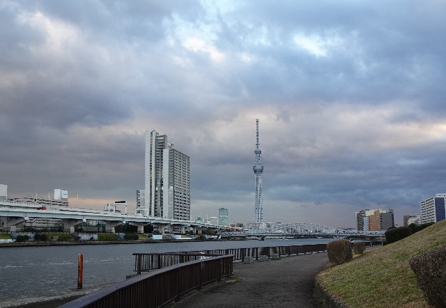 f:id:makoako:20211226091526j:plain