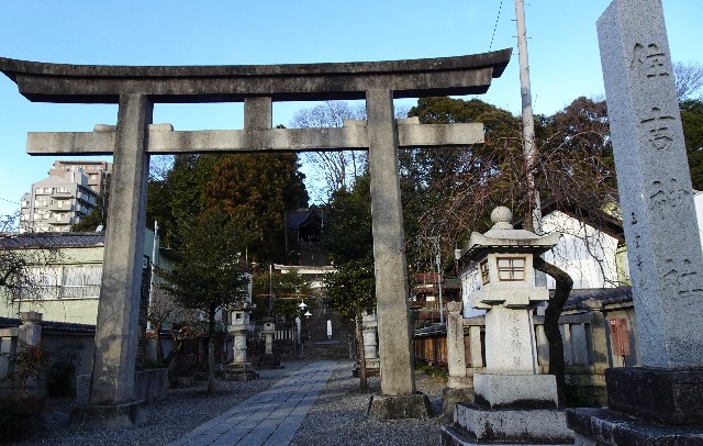 f:id:makoako:20220110234945j:plain
