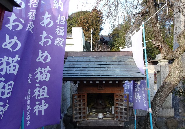 f:id:makoako:20220110235001j:plain