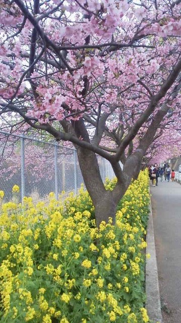 f:id:makoako:20220201002219j:plain