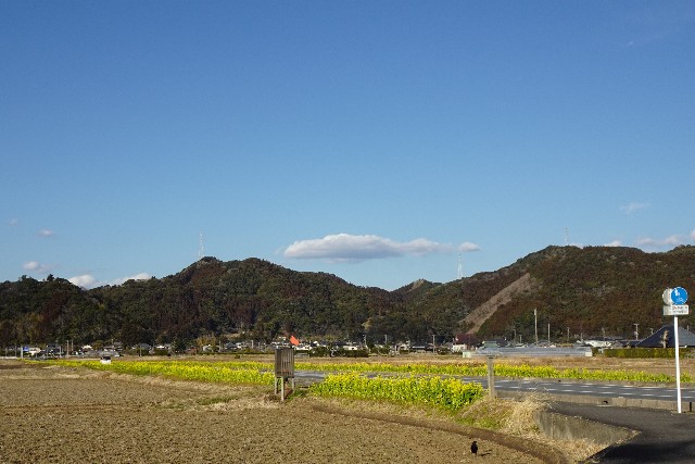 f:id:makoako:20220206103248j:plain