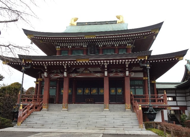 f:id:makoako:20220220111538j:plain