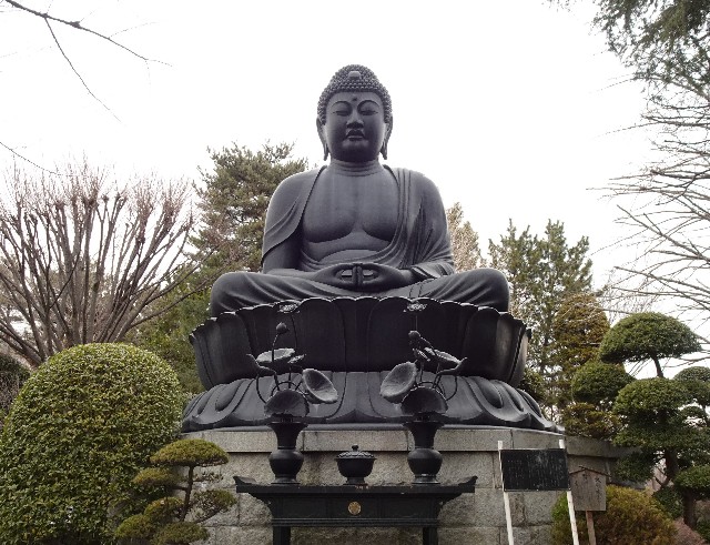 f:id:makoako:20220220111609j:plain