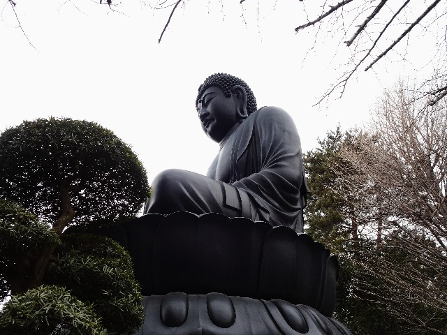 f:id:makoako:20220220111618j:plain