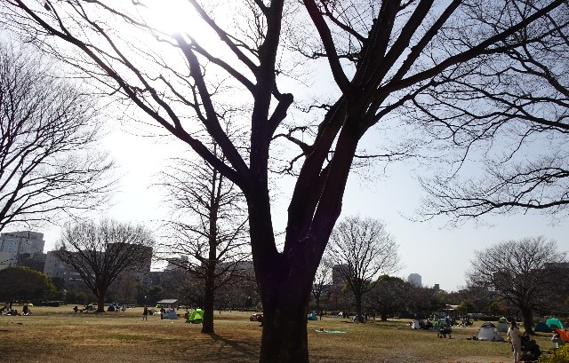 f:id:makoako:20220307002111j:plain