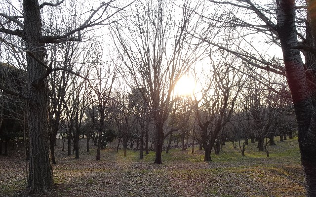 f:id:makoako:20220313231436j:plain