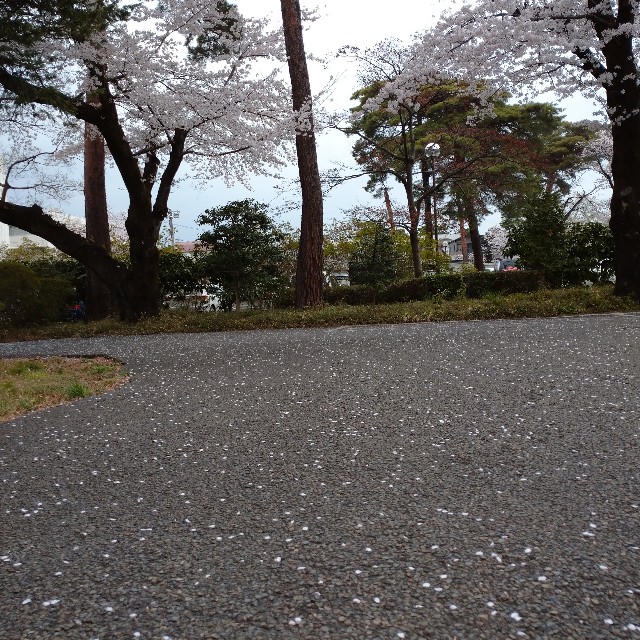 f:id:makoako:20220331235528j:plain