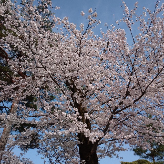 f:id:makoako:20220331235640j:plain