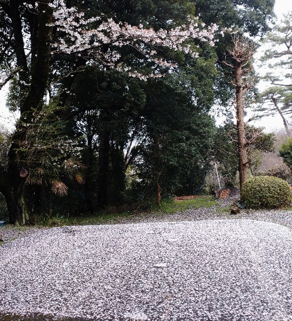 f:id:makoako:20220402000108j:plain