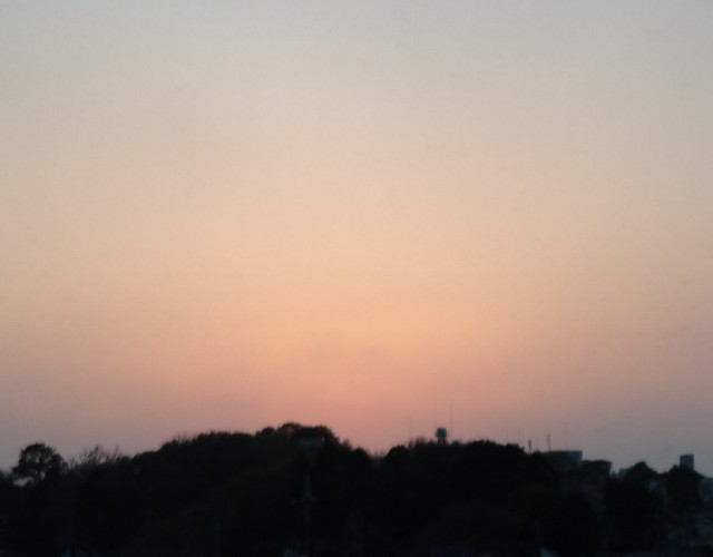 f:id:makoako:20220408001307j:plain