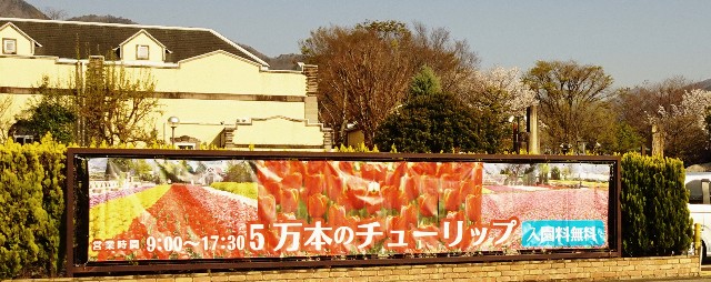 f:id:makoako:20220410015702j:plain