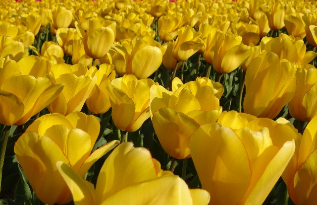 f:id:makoako:20220410020128j:plain