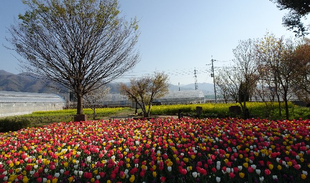f:id:makoako:20220410020151j:plain