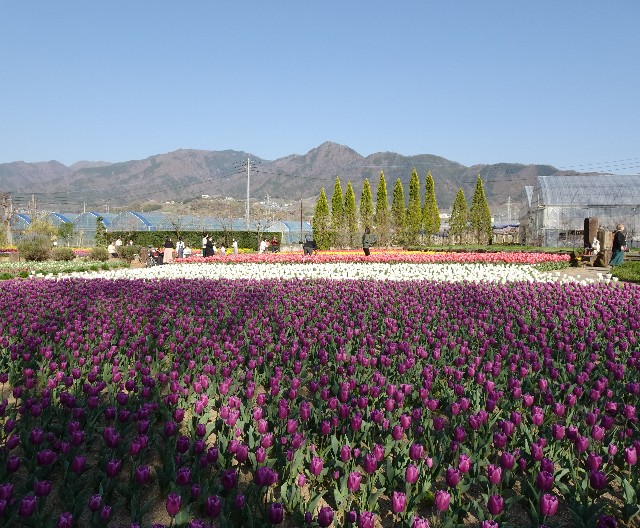 f:id:makoako:20220410020315j:plain