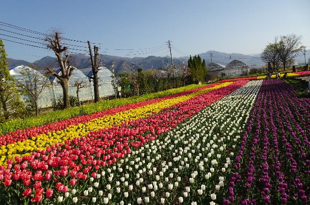 f:id:makoako:20220410020403j:plain