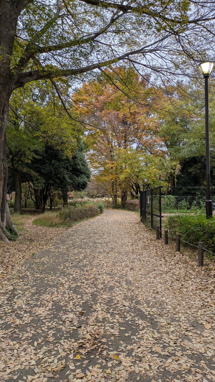 f:id:makoako:20251126001648j:image f:id:makoako:20251126001648j:image