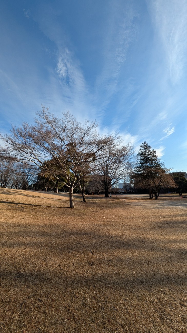 f:id:makoako:20260105175154j:image f:id:makoako:20260105175154j:image