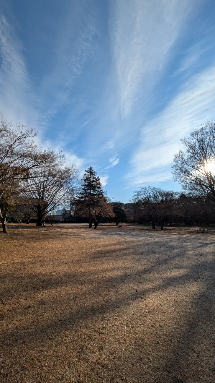 f:id:makoako:20260105175203j:image f:id:makoako:20260105175203j:image