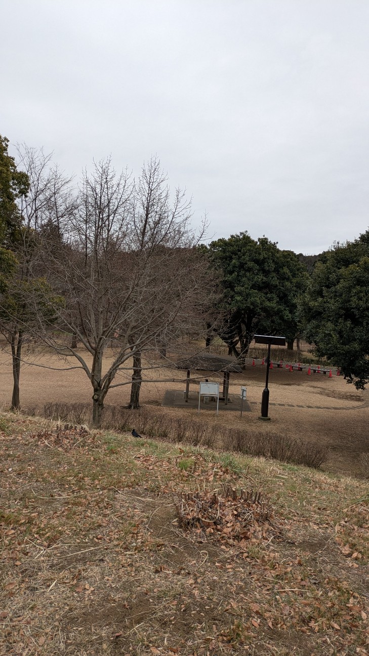 f:id:makoako:20260107124630j:image