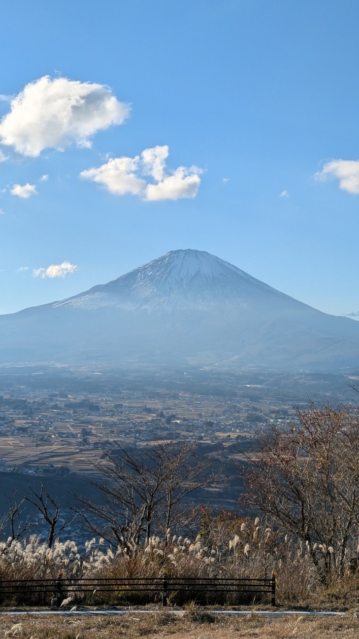 f:id:makoako:20260110000822j:image f:id:makoako:20260110000822j:image