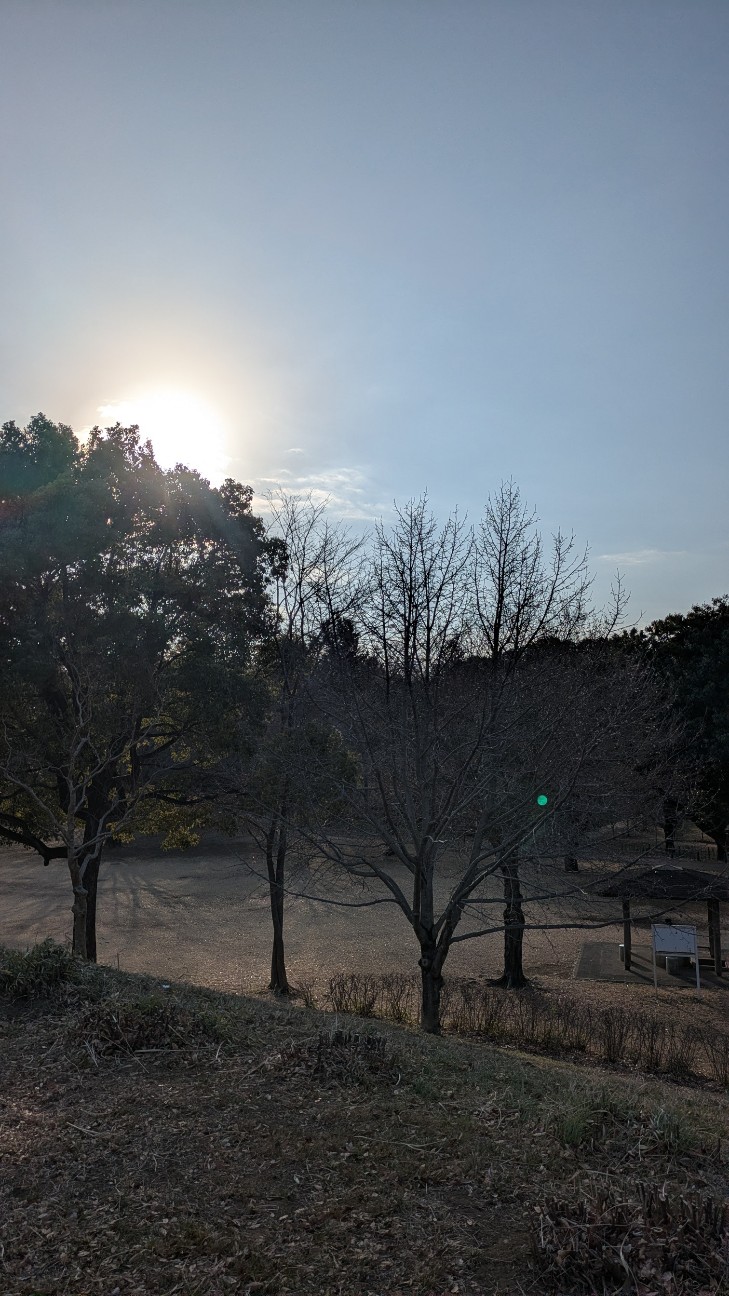 f:id:makoako:20260121002044j:image f:id:makoako:20260121002044j:image