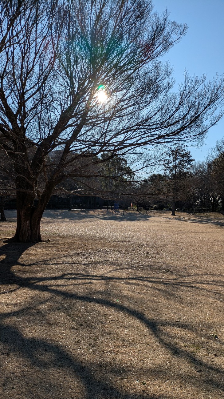f:id:makoako:20260129181143j:image f:id:makoako:20260129181143j:image