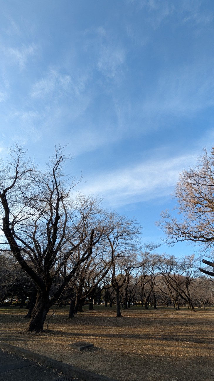 f:id:makoako:20260201114319j:image f:id:makoako:20260201114319j:image