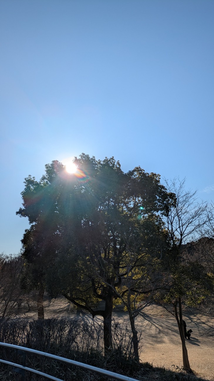 f:id:makoako:20260204122955j:image f:id:makoako:20260204122955j:image