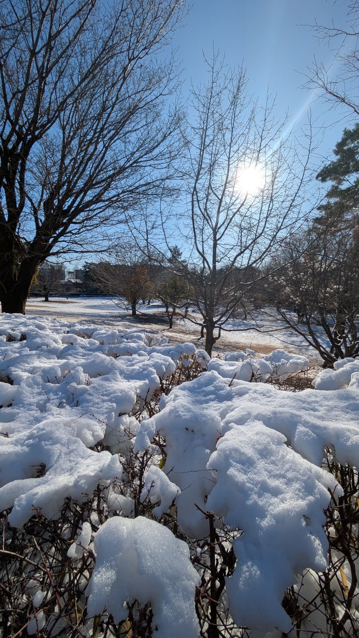 f:id:makoako:20260210000202j:image f:id:makoako:20260210000202j:image