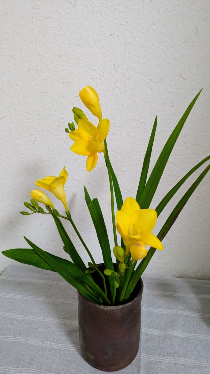 f:id:makoako:20260212003749j:image f:id:makoako:20260212003749j:image