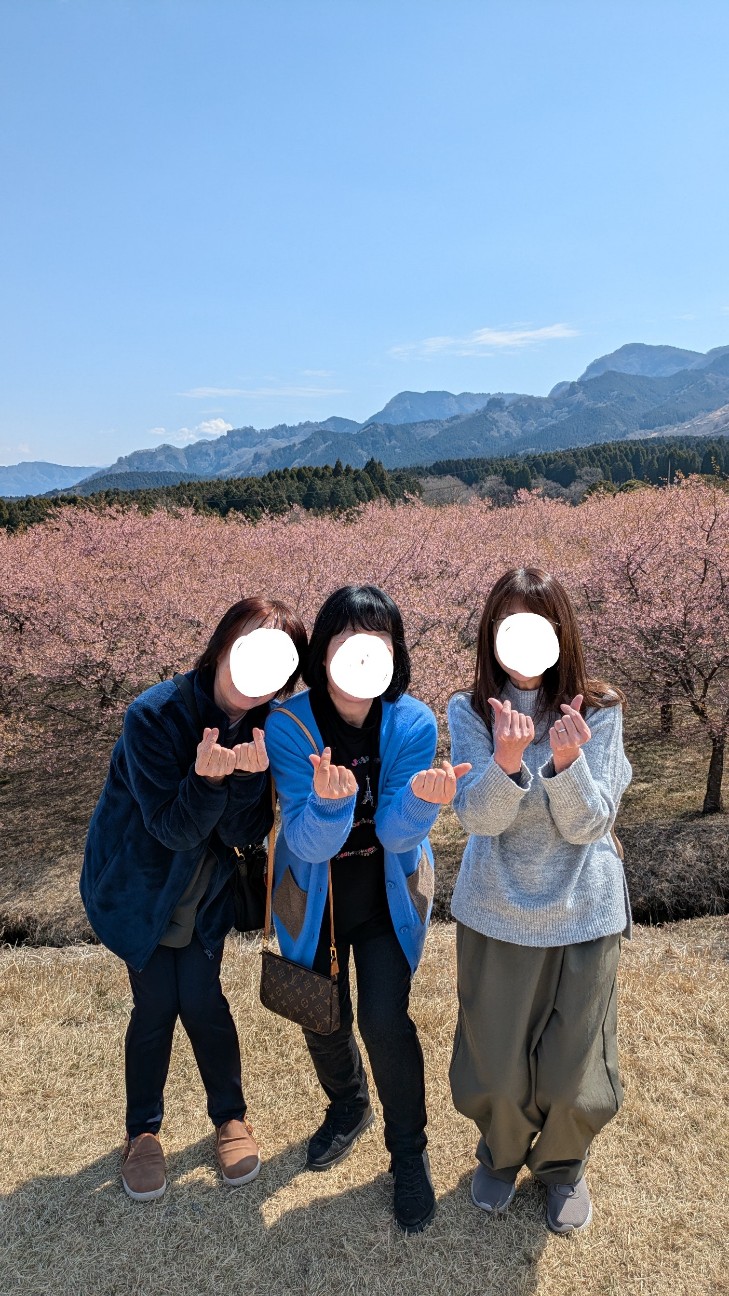 f:id:makoako:20260315011633j:image